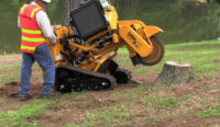 Stump-Removal.jpg