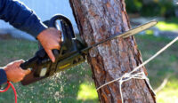 Tree-Removal.jpg